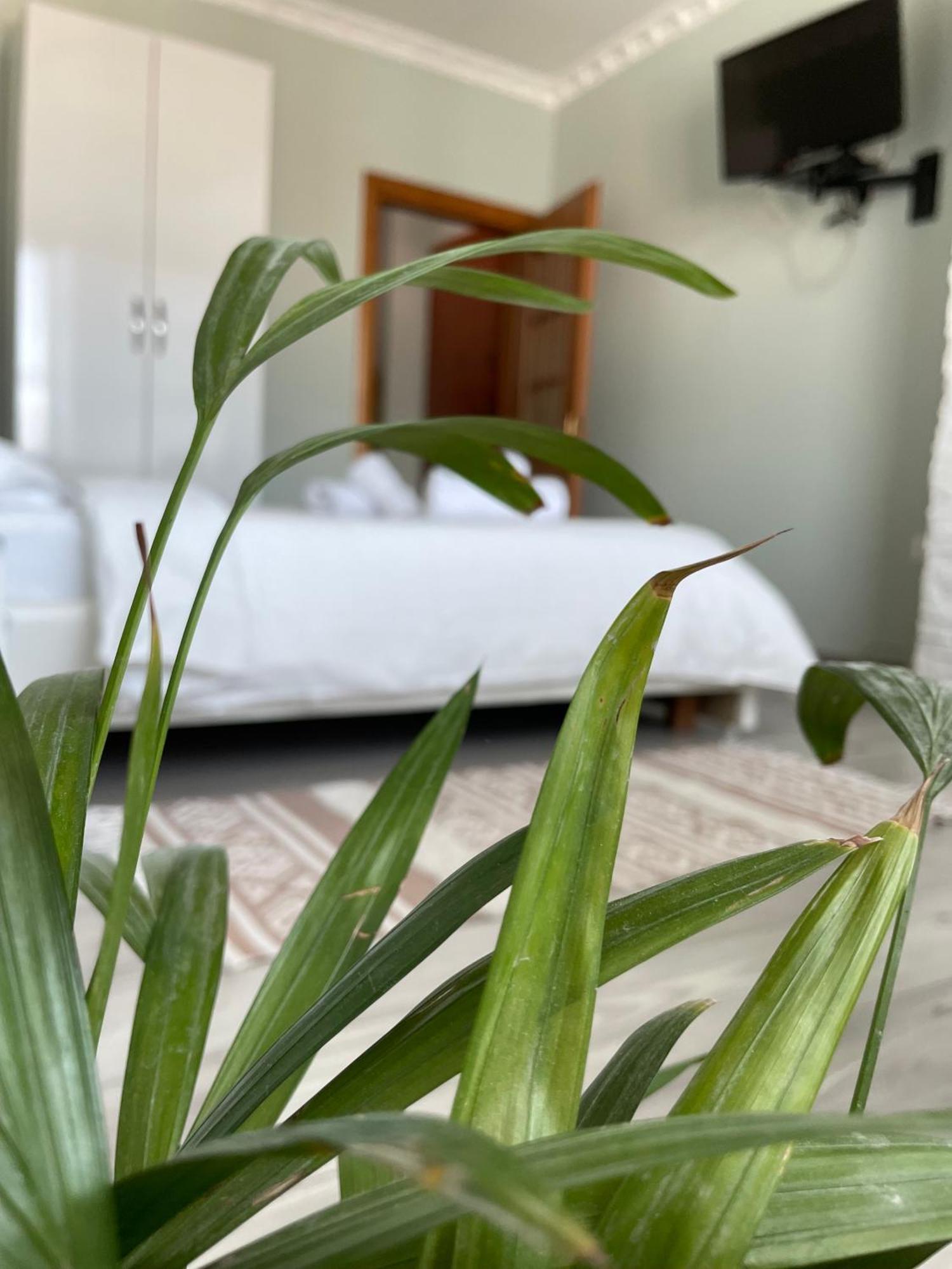 Agroni Rooms Tirana Bagian luar foto